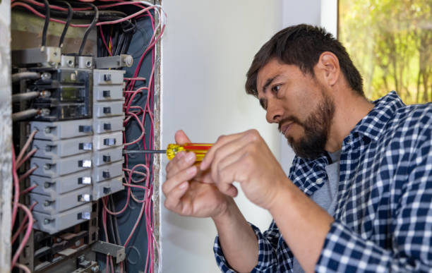 Best Electric Panel Repair  in Cortland, IL